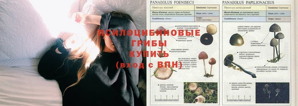 круглые Корсаков