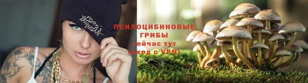 хмурый Коряжма