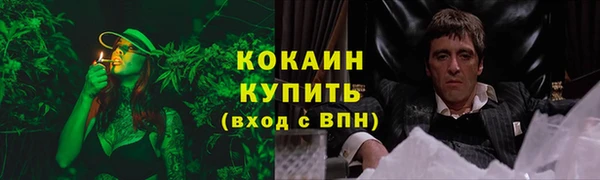 круглые Корсаков